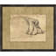 Charcoal Animal Collection 11 Print
