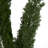 8'' Plant
