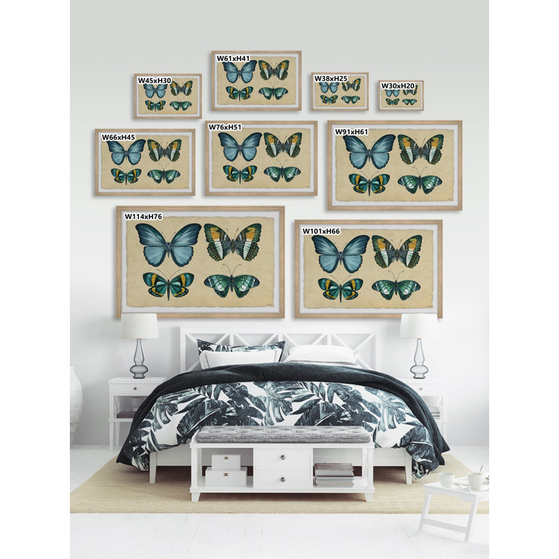 Wing Pattern - Single Picture Frame Print, 41cm H x 61cm W x 3.81cm D