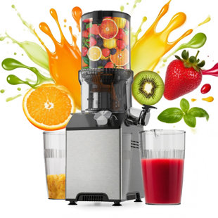 WHALL Cold Press Juicer – Easy-to-Clean Masticating Juicer with Touch Screen, Stainless Steel Design | Quiet 2-Speed Juice Extractor for Fruits & Vegetables | Includes Cleaning Brush | Silver Finish