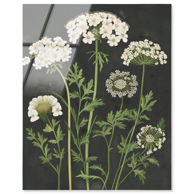 «Wildflower Umbel II», reproduction d'art acrylique sur toile par Art Remedy