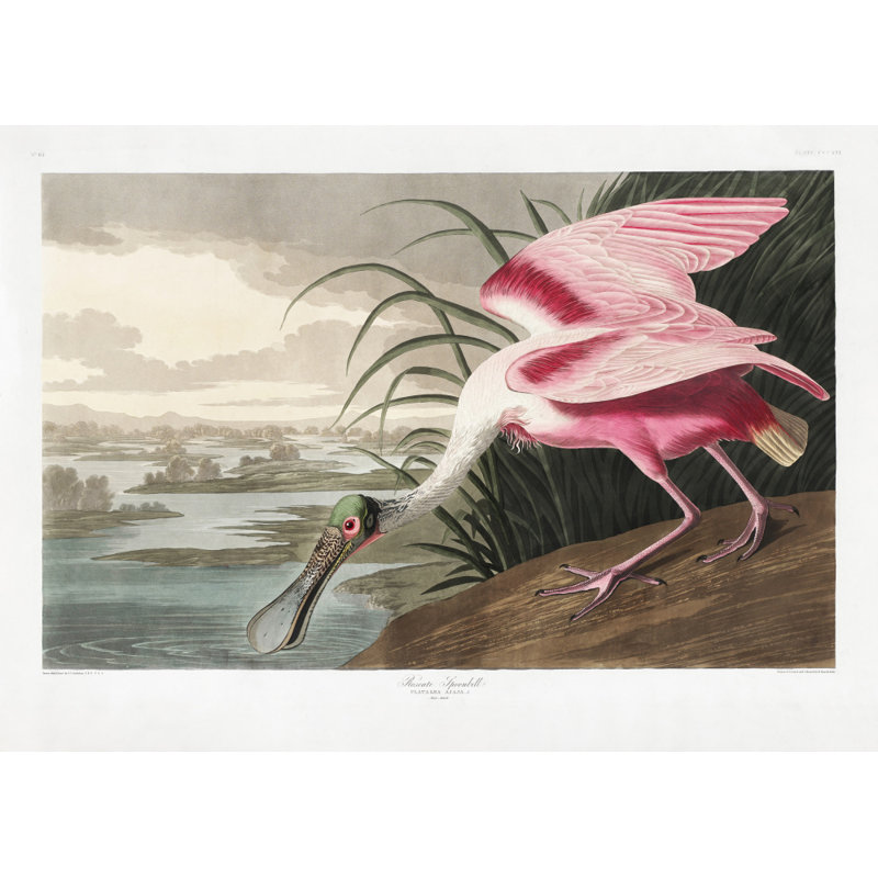 Wrapped Canvas Print, 50.8 cm H x 76.2 cm W
