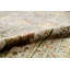 Oriental Area Rug