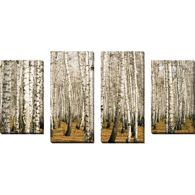 4 Piece Wrapped Canvas Photograph