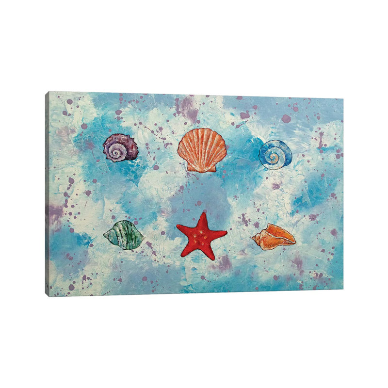 Seashells 1 Piece Wrapped Canvas Painting, 20.32 cm H x 30.48 cm W