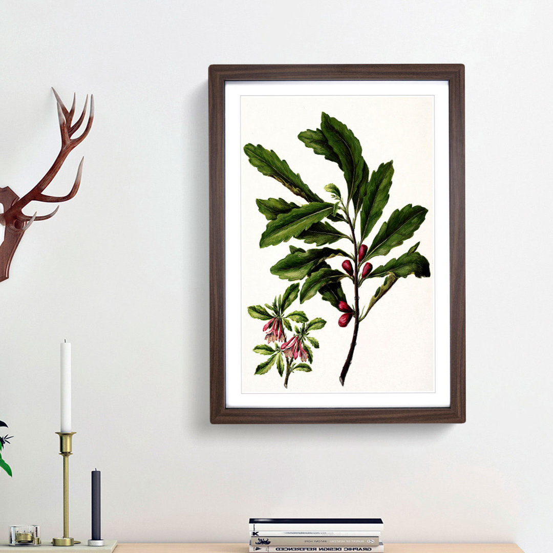 Toropapa Flowers by Sarah Featon - Picture Frame Painting Print