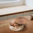 Glass Candy and Nuts Serving Container Food Storage Platter with Wooden Lid-928877439