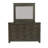 Lexee Bookcase Bed, Dresser & Mirror-103534871