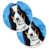 Basset hound