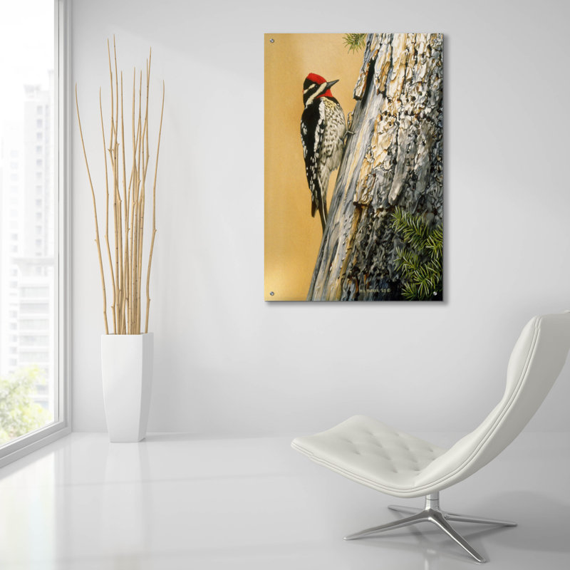 «Yellow Bellied Sapsucker» par Ron Parker, verre acrylique Wal Art, H 36 po x l 24 po x P 0,2 po
