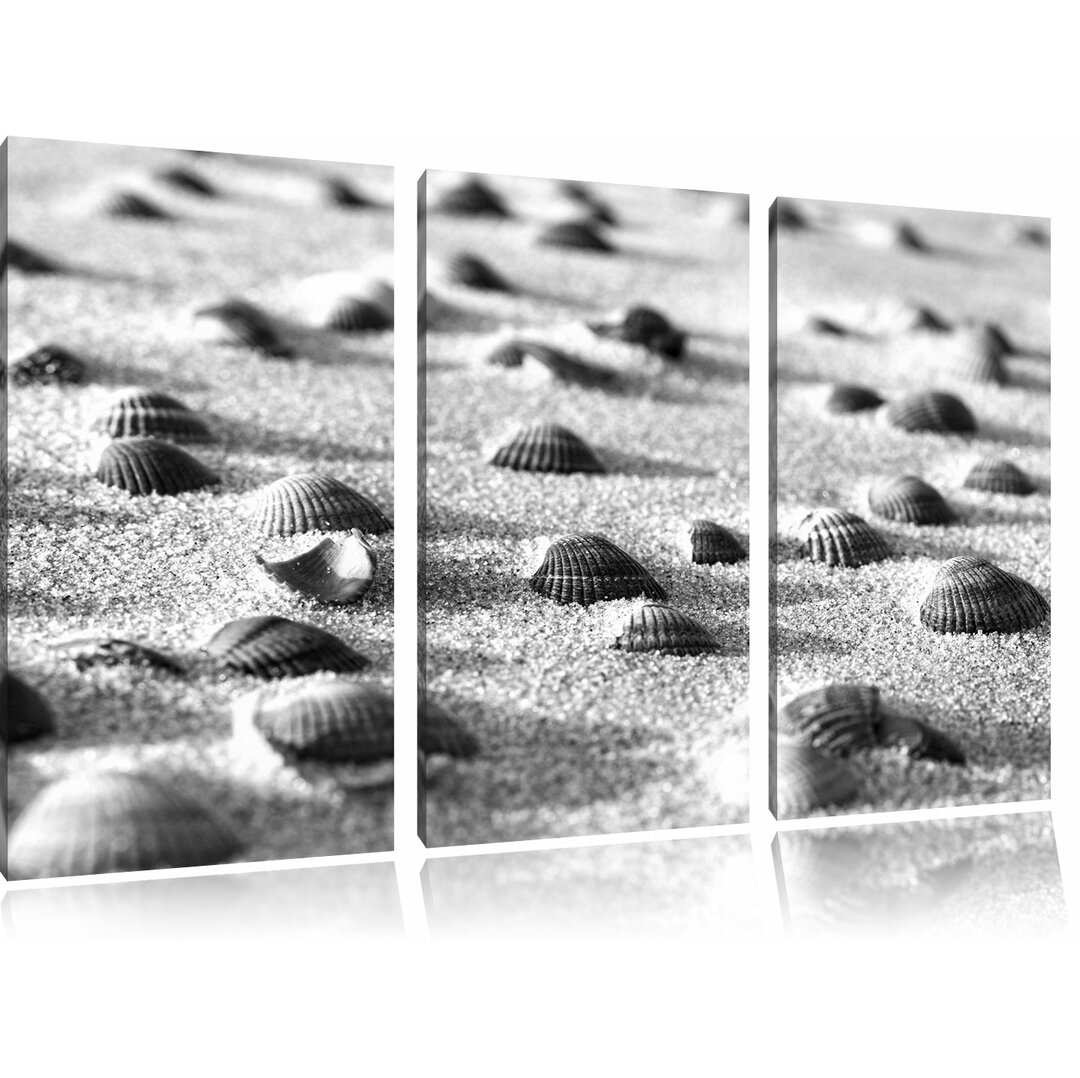 3-tlg. Leinwandbilder-Set „Muscheln im Sand“, Fotodruck