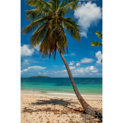 Cramer Park Beach St Croix US Virgin Islands Poster Print By Michael Defreitas (18 X 24) # CA37MDE0032 -  Rosecliff Heights, C10C00A2360D43DC814107F732CCC999