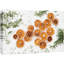 Citrons séchés avec romarin et herbes sur granit Photographie de fruits-98161493