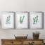 Freshly Picked I - Ensemble de 3 reproductions de cadres photo-456555364-456555365