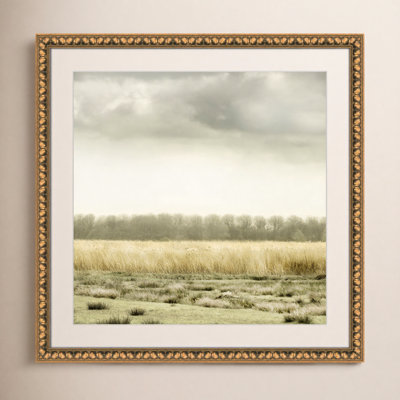 Henri "Meadowland" Print by Danita Delimont