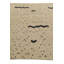 Tapis ivoire Iraheta