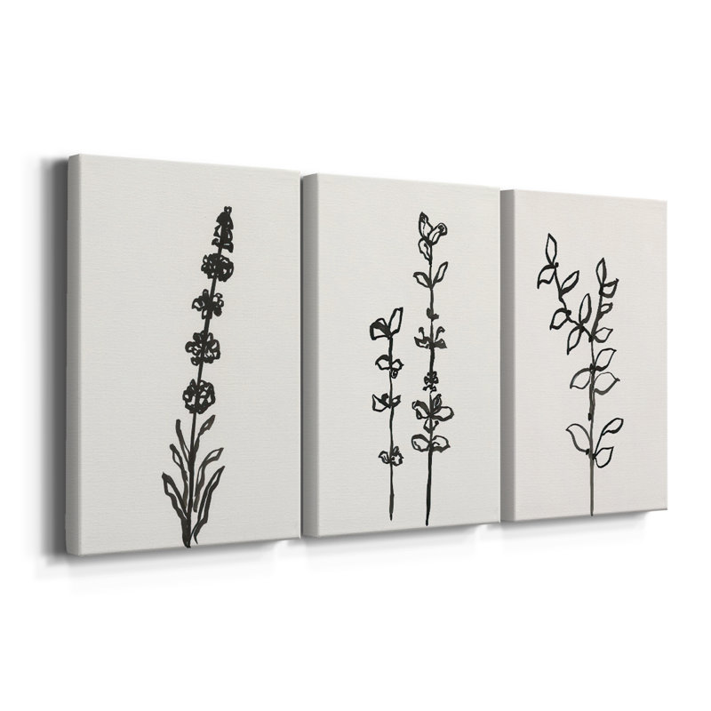 Encre botanique croquis VII - toile tendue sur mesure - 3 pièces, H 18 po x l 36 po