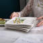 26cm Porcelain China Commercial Dishwasher Safe Dinner Plate, Set of 6-349463716