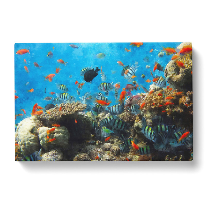 Coral Reef And Fish Vol.2 - Wrapped Canvas, 35cm H x 50cm W x 3cm D