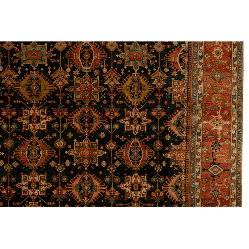 Wool Oriental Area Rug