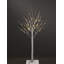 LED Holiday Lighting