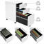 Suveer 30cm Wide 2 -Drawer Mobile File Cabinet-572583572