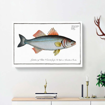 Basse Fish by M.E. Bloch - Wrapped Canvas