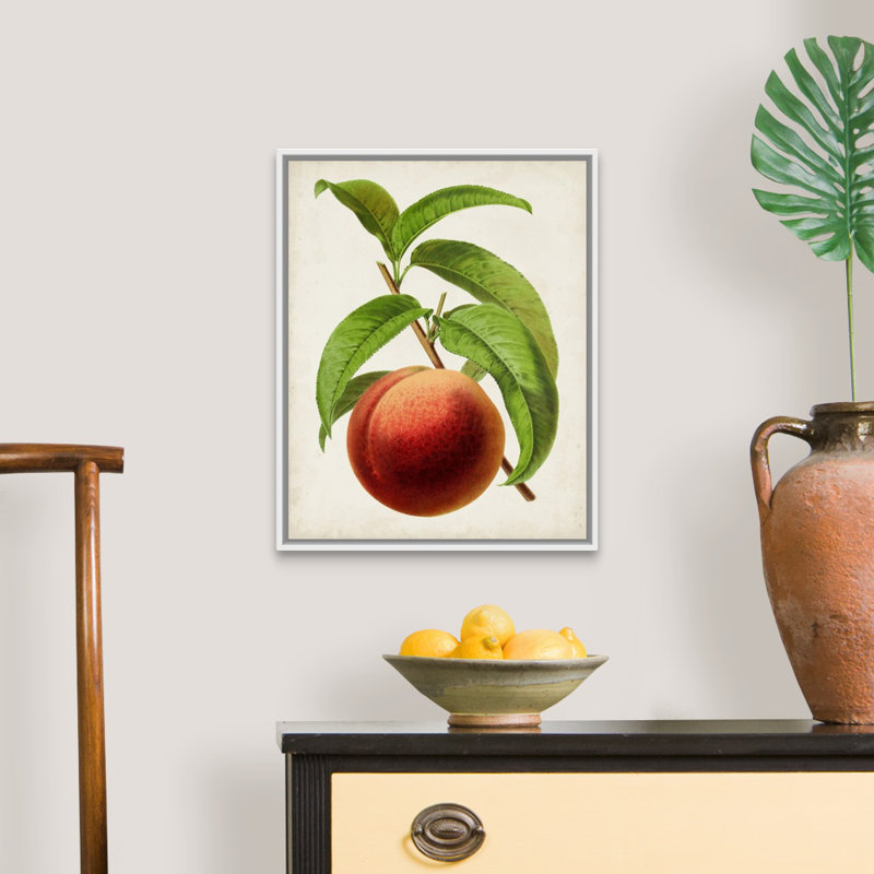 Antique Fruit V - reproduction d'art sur toile, H 21,7 po x l 17,7 po x P 1,75 po, Cadre flottant blanc