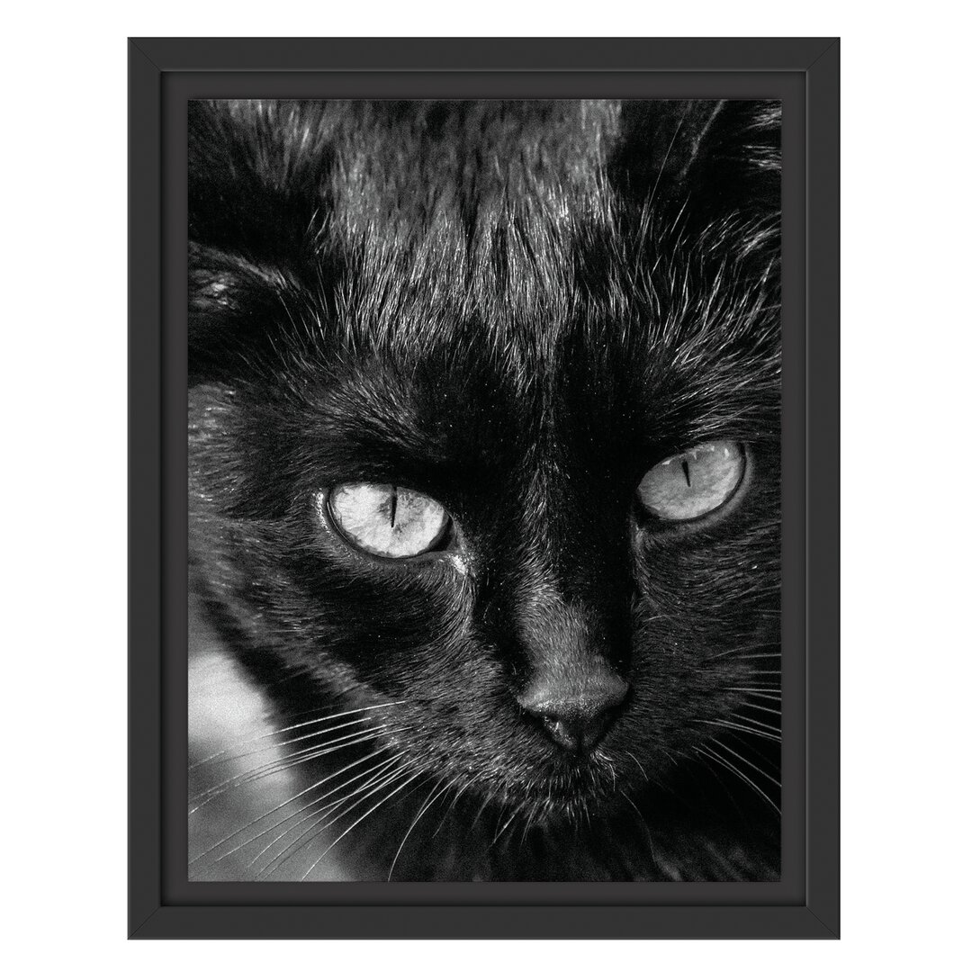 Gerahmtes Wandbild schwarze Katze