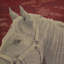 Mister Ed Square Pillow Cover & Insert-33066676