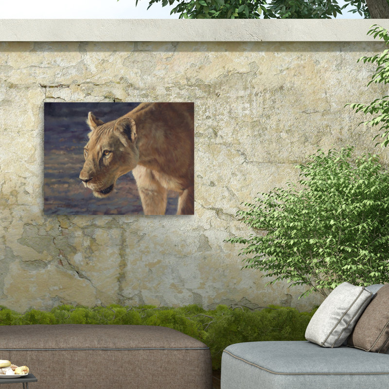 Toile d'extérieur David Stribble Lioness South Luangwa, H 35 po x l 47 po