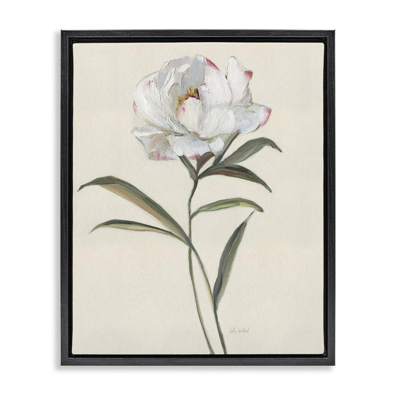 Simple rose blanche, Cadre flottant noir de jais, H 21 po x l 17 po