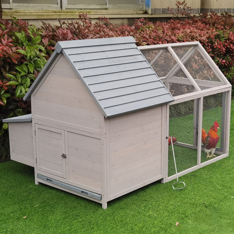 Gray Wooden Chicken Coop with Ramp and Waterproof Roof