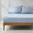 Freesia Cotton Sheet Set Blue-111329014