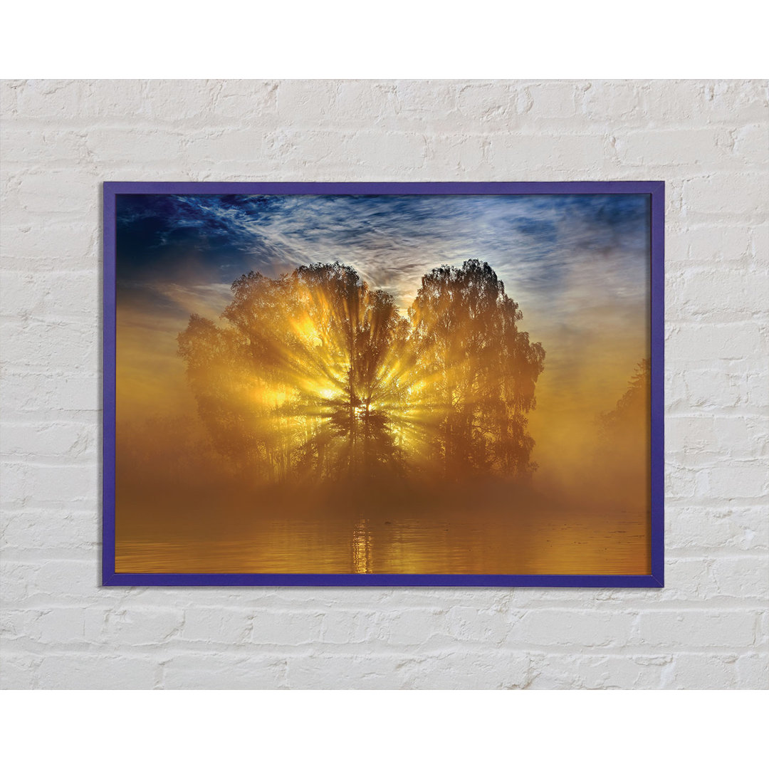 Golden Sunburst Tree - Druck