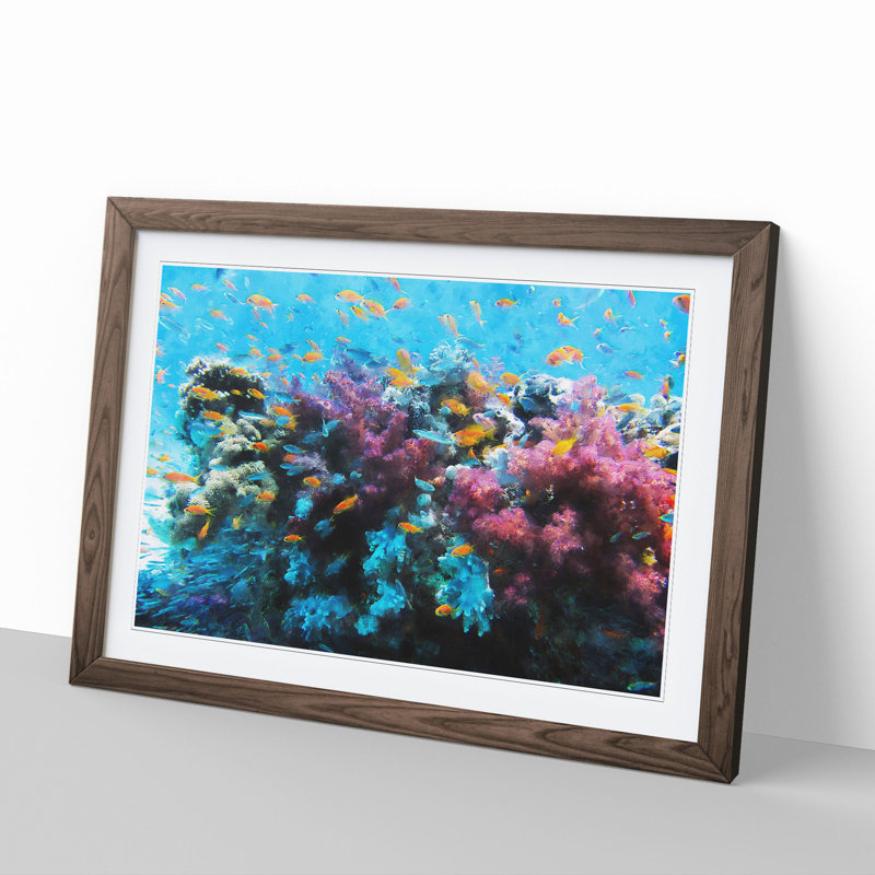 Coral Reef and Fish Vol.1 - Picture Frame Graphic Art, 27cm H x 36cm W x 2cm D, Walnut Framed