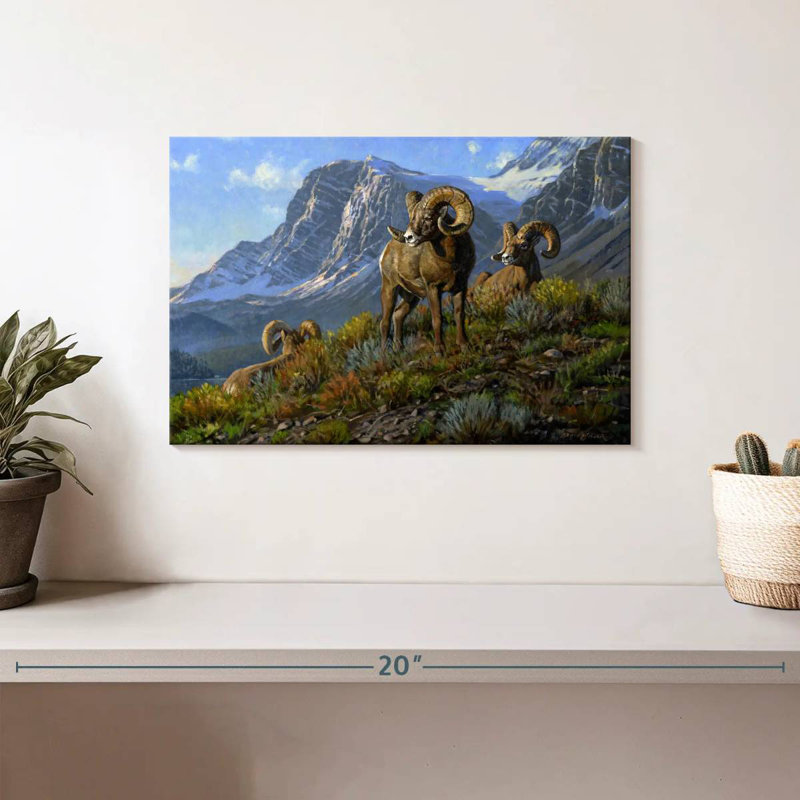 Rams, 8" H x 12" W