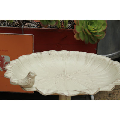 Boje Reflection Birdbath
