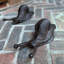 Maubray Non-Slip Outdoor Doormat