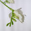 Freesia artificiel en soie Audet (paquet de 1 branche)-503104012