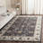 Fryar Performance Oriental Rug-18968329