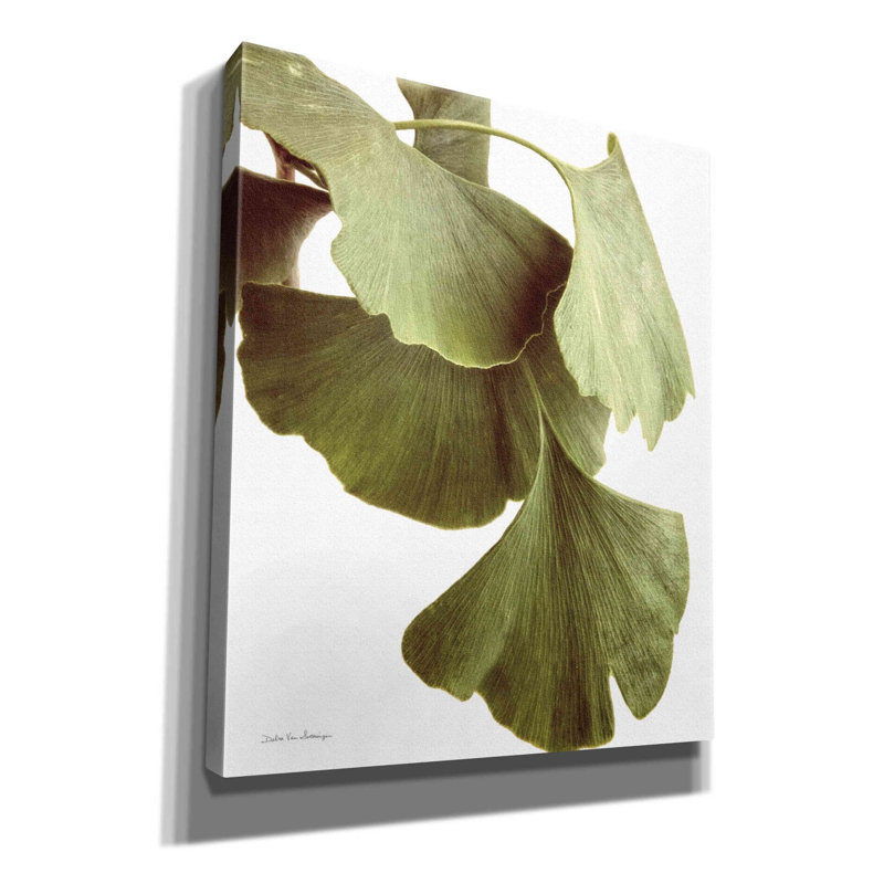 «Ginko Color on White» par Debra Van Swearingen, art mural sur toile, H 24 po x l 20 po x P 0,75 po