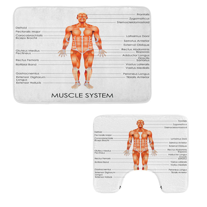  Human Anatomy Bathroom Rug Set 2 Pieces Rectangle & Contour Mats Coral