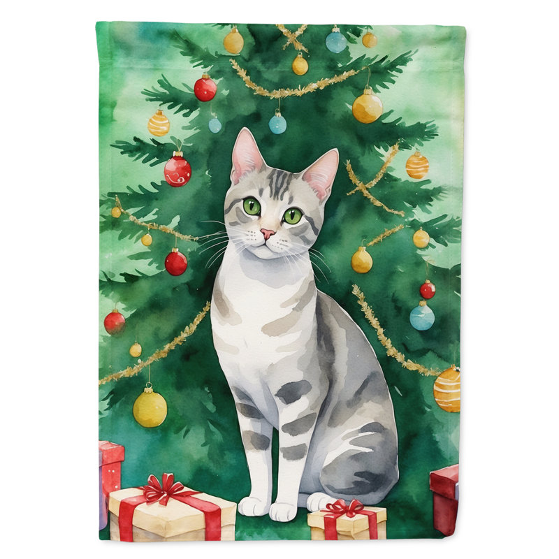 Drapeau de jardin Pixie Bob, European Shorthair