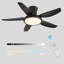 Andreano 122cm Ceiling Fan with LED Lights-1124662480