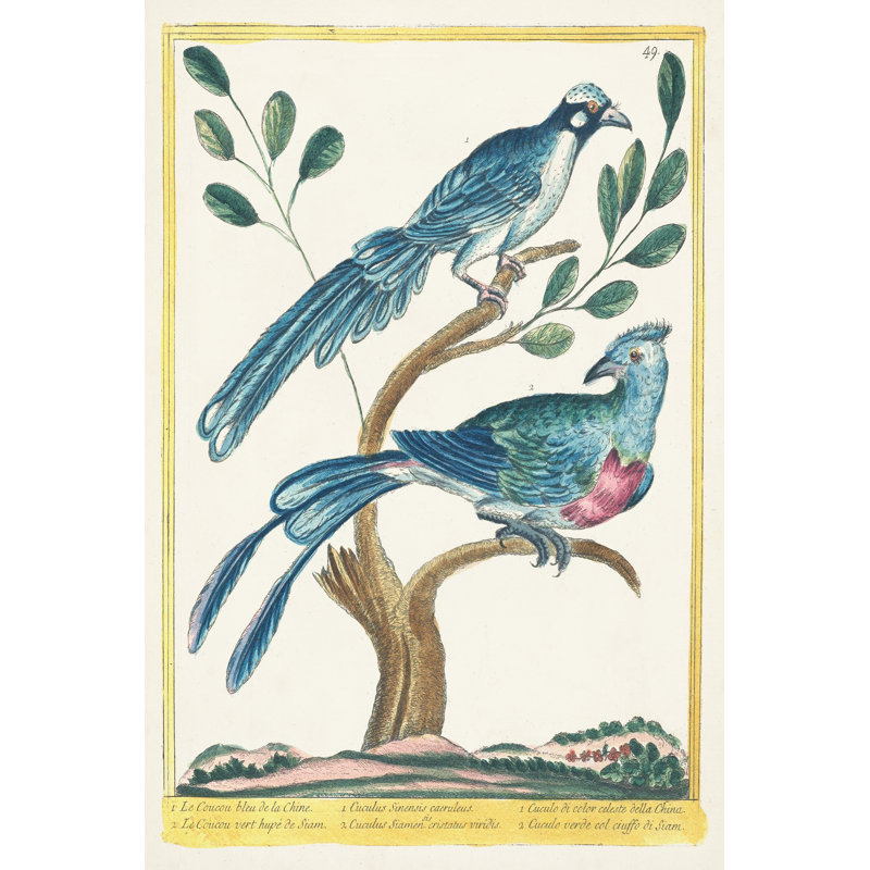 Pastel Birds VI - Art Prints, 76 cm H x 51 cm W, Wrapped Canvas