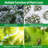 10x50Ft Plant Freeze Protection Cover