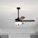 Layza Ceiling Fan with Light Kit