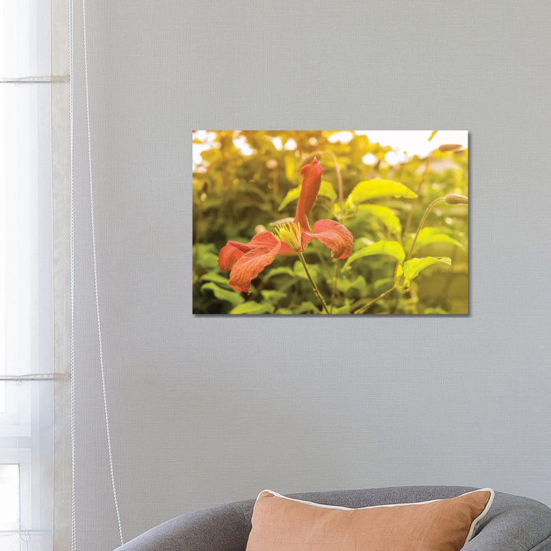 Summertime Clematis by Savanah Plank - Wrapped Canvas Gallery-Wrapped Canvas Giclée, 45.72cm H x 66.04cm W