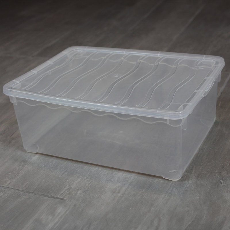 Basicwise Clear Plastic Shoe Boxes with Lids - Stackable Storage Bins for Shoes, Accessories, Closet Organization - Secure-Fit, See-Through, Shatterproof Containers - 14x10.5x5.5 in - Set of 6